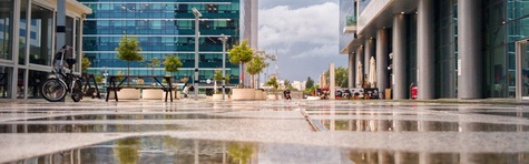 The-move-to-mandatory-sustainability-disclosure-and-reporting.jpg