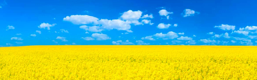 Ukraine 2022